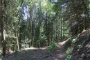 De la tête au col